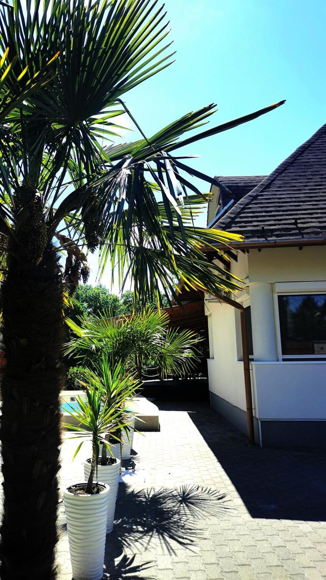 House4U Villa Balatonszárszó Buitenkant foto